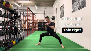 Fencer split squat pulse