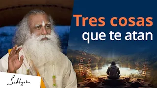 Descubre el poder de tu mente liberándote de estas tres cosas | Sadhguru Español