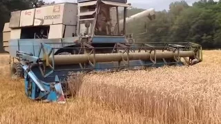 MDW FORTSCHRITT E517  Combine Harvester