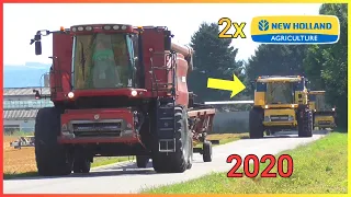 Žně Ozimého Ječmene 2020 - Barley Harvest 2020 | 2x New Holland + 1x Case | ZD Unčovice