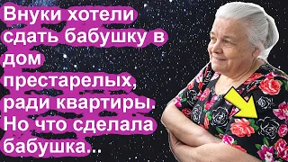 Внуки хотели сдать бабушку в дом престарелых. Но что сделала бабушка, повергло всех в шок