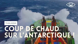 Coup de chaud sur l'Antarctique ! Thalassa