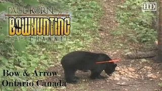 Black Bear Bow hunt wit Death Moan in Ontario CANADA perfect arrow shot placement IMPACT