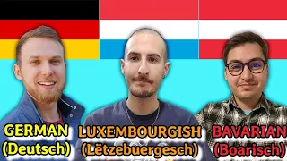 Can Germans and Austrians Understand Luxembourgish?