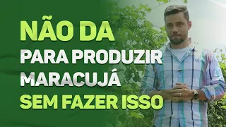 Não da para Produzir Maracujá sem fazer isso