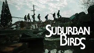 《郊區的鳥 Suburban Birds》國際版預告 International Trailer