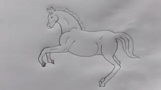 How to draw horse drawing easy step for kids