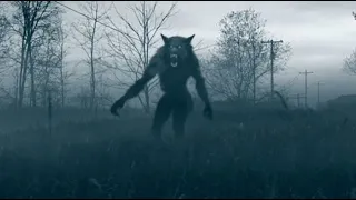 Scary Werewolf Sightings That Prove Cryptids Are REAL