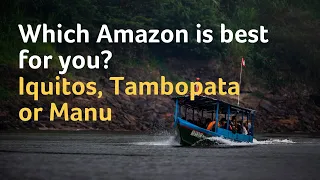 Which jungle is best for me? Iquitos, Tambopata or Manu