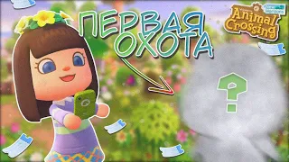 КТО КУДА, А Я ОХОТИТЬСЯ! ANIMAL CROSSING NEW HORIZONS! [YUKI CROSSING]