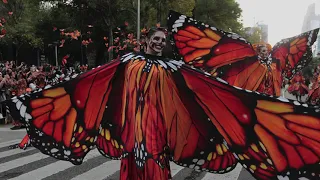 Roar of the Monarch Butterfly with Bill Toone of Ecolife