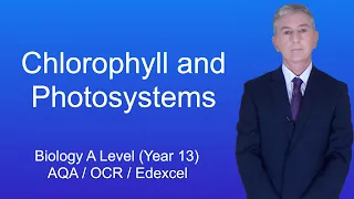 A Level Biology Revision (Year 13) "Chlorophyll and Photosystems"