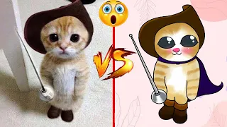 1 Hour Of Funniest Animals 😅 New Funny Cats and Dogs Videos 😸🐶 Cat Memes Part 3