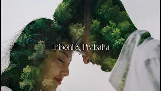 Yellow Paper Daisy - Tribeni X Prabaha | Pre wedding Video | Darjeeling