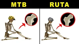 POR QUÉ EL CICLISMO DEBILITA LOS HUESOS (Y QUÉ MODALIDAD ES PEOR) 🚲 SALUD CICLISTA