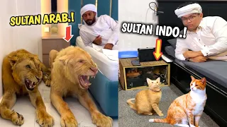 Sama-Sama Oren Tapi Beda🤣, Inilah Perbedaan Hewan Peliharaannya Sultan Arab Dan Sultan Indo.!