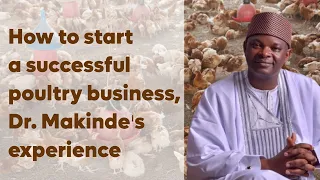 HOW TO START A SUCCESSFUL POULTRY BUSINESS, DR MAKINDE'S EXPERIENCE.