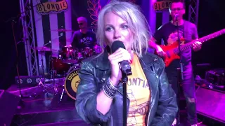 Totally Blondie Live Showcase