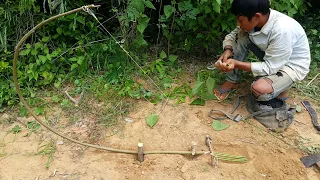 How to Make Forest Chicken Trap | Wild Chicken Trap ( Primitive Trap )