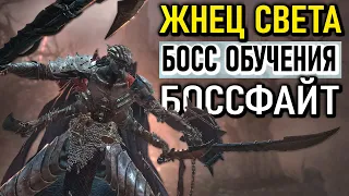 Я победил босса туториала (Жнец Света) в Lords of The Fallen, однако... | The Lightreaper boss fight