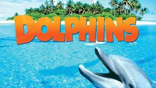 Official Trailer - DOLPHINS (2000, Greg MacGillivray, Pierce Brosnan, Sting, IMAX)