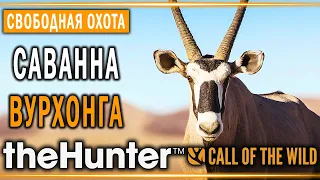 theHunter Call of the Wild #9 🦁 - Саванна Вурхонга (часть 3) - Свободная Охота