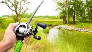 Searching for GIANT Bass in NEW Ponds! (Bank Fishing)