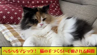 【ぺろぺろマジック　猫の毛づくろいで癒される瞬間】超可愛い【猫と同居】