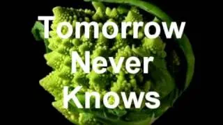 Tomorrow Never knows - Cover by Marcelo Andrin y Javier Cano