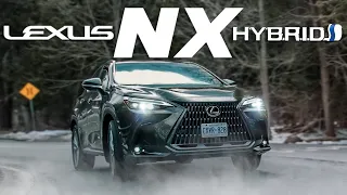 2023 Lexus NX Hybrid In-depth Review 53MPG!!! SO EFFICIENT! Who needs an EV!?