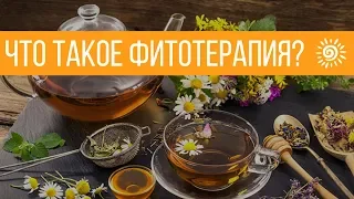 Что такое фитотерапия. Мифы о лекарственных растениях.