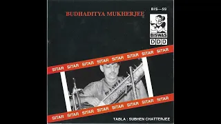 Sitar by Budhaditya Mukherjee.