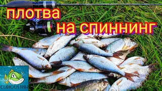 Мормышинг,плотва на спиннинг, curious fish, neoline 0.1-2