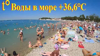 Море кипит от Отдыхающих на лучшем пляже Дивноморское. Чёрное море все пляжи в кайф