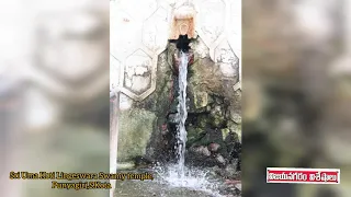 Punyagiri waterfalls