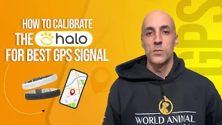 How to Calibrate Halo Dog Collar for Best GPS Signal