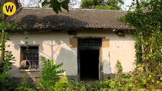 A genius girl renovated an old house and redecorated it like new in 5 months