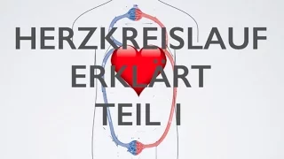 ❤️Herz Kreislauf Teil 1 | Medizin Grundlagen❤️