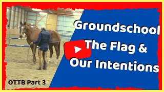 How To Flag Your Horse. Groundwork Techniques to Relax, Create Space, AND Convey Intent