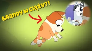 Bluey- specjalny odcinek "Znak" (zwiastun, easter egg) czy ciocia Brandy jest w ciąży?!