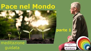 Pace nel mondo - parte 1  - Volker Winkler  TALO® Meditation Academy