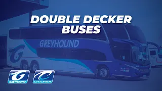 Greyhound Auction - Double Decker Bus Walk Through