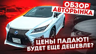 Автомобили из Японии. Цены ШОК, НОВИНКИ 01.06.2022. Авторынок Зеленый Угол.