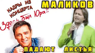 Дмитрий Маликов на концерте памяти Юрия Шатунова 27.10.23г С песней «Падают  листья»#шатунов #love