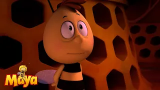 All the honeycombs are empty - Maya the bee🐝🍯🐝