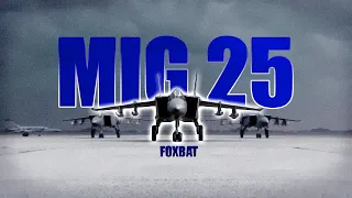 INDIAN MIG 25 EDIT