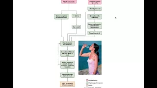 Chapter 26 Fluid, Electrolyte, Acid-Base Balance