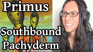 Primus Southbound Pachyderm Reaction! Musician Listens For First Time!