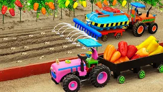 Top diy tractor making mini Water Truck for Watering Plants | diy grow super spicy chili | HP Mini