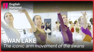 Swan Lake: The iconic arm movement of the swans | English National Ballet